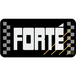 FORTE Moto Power I czyści układ paliwowy Motocykle