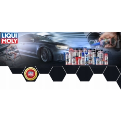 Dodatek do paliwa LIQUI MOLY 1001